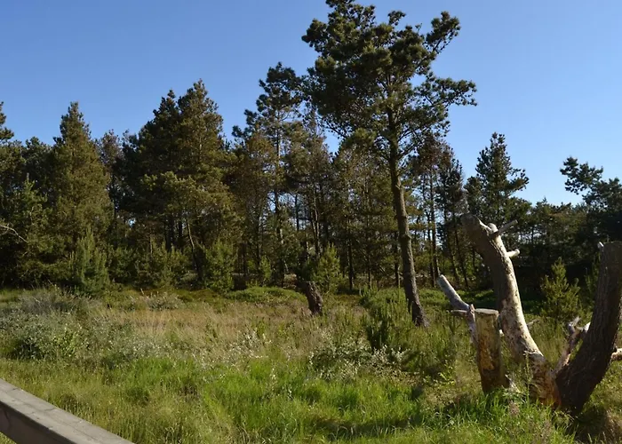 Harthwik - 1km From The Sea By Interhome Holiday home *